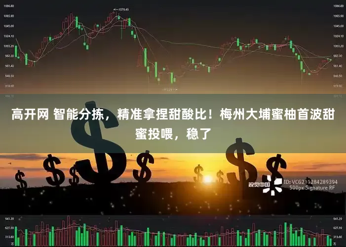 高开网 智能分拣，精准拿捏甜酸比！梅州大埔蜜柚首波甜蜜投喂，稳了