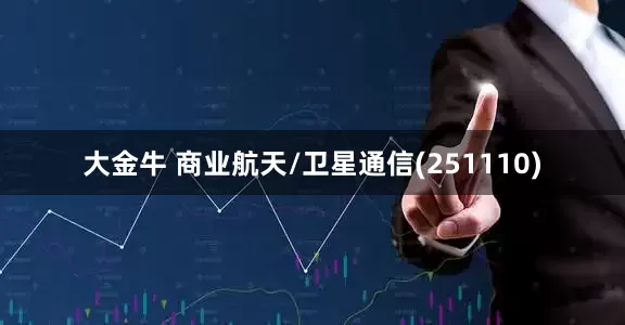 大金牛 商业航天/卫星通信(251110)