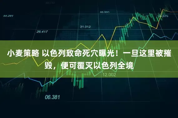 小麦策略 以色列致命死穴曝光！一旦这里被摧毁，便可覆灭以色列全境